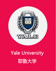 Yale UniversityҮ³ѧ